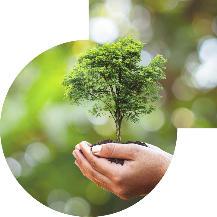 關懷人類、文化、環境與社會